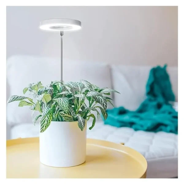 The Legacy Full Spectrum LED Grow Light for Indoor Plants – Adjustable Height & Brightness with Timer, Ideal for Small Plants White Light